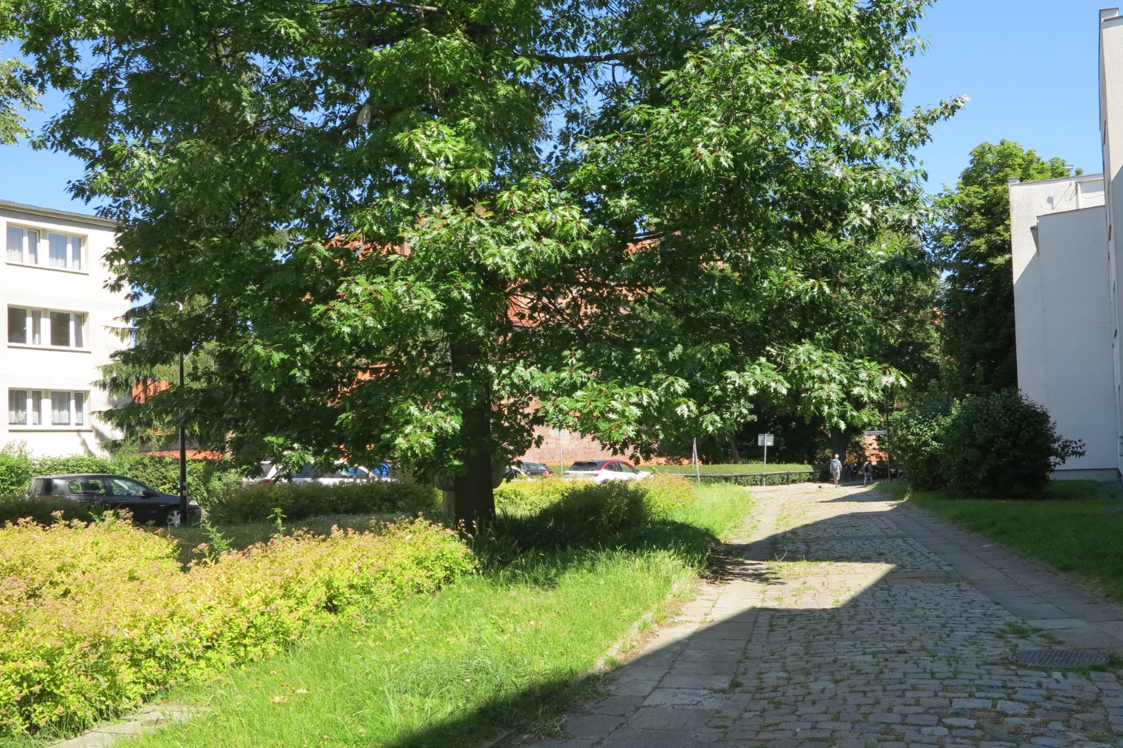 http://m.82-200.pl/2025/07/orig/img-3903-11677.jpg