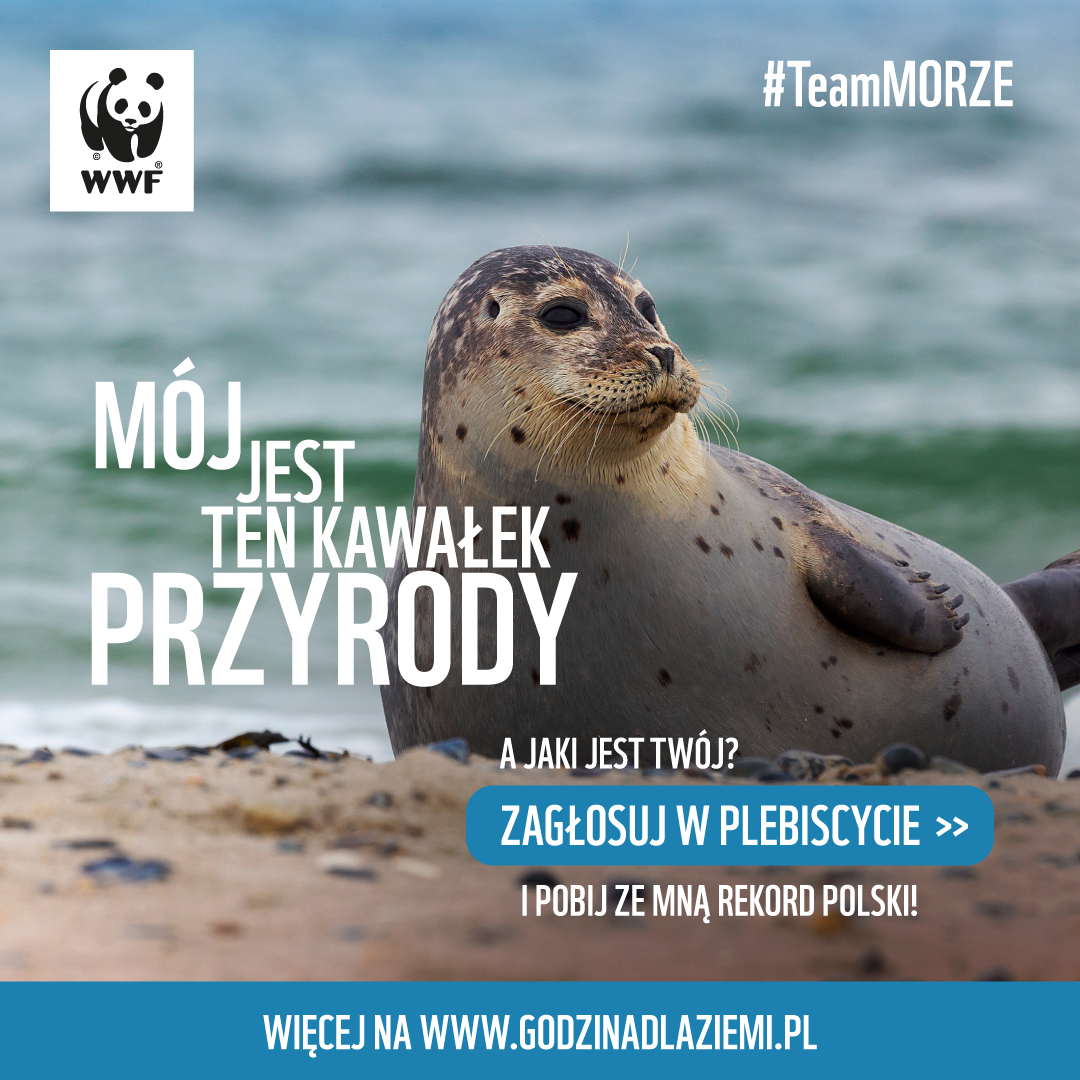 http://m.82-200.pl/2026/03/orig/gdz26-morze-1080x1080-12428.png