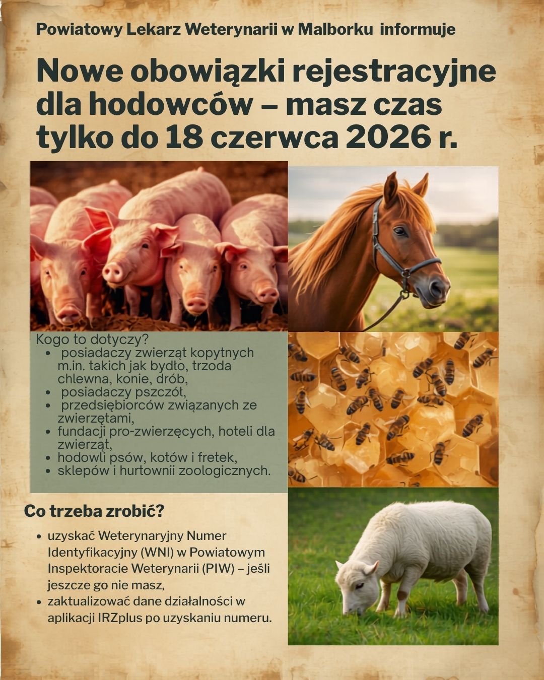 http://m.82-200.pl/2026/05/orig/nowe-obowiazki-rejestracyjne-dla-hodowcow-masz-czas-tylko-do-18-czerwca-2026-r-12578.jpg