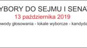 Wybory do Sejmu i Senatu - sprawdź gdzie i jak głosować