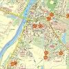 Ukwiecony Malbork - 10 łąk kwietnych upiększy nasze miasto