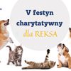 V Festyn charytatywny dla REKSA