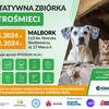 Oddaj elektrośmieci, wesprzyj bezdomne zwierzęta! Charytatywna akcja dla REKSa