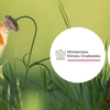 Jesteśmy bioróżnorodnie połączeni - ogólnopolska kampania dla najmłodszych

