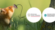 Jesteśmy bioróżnorodnie połączeni - ogólnopolska kampania dla najmłodszych

