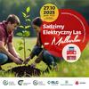 Sadzimy Elektryczny Las w Malborku