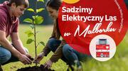 Sadzimy Elektryczny Las w Malborku