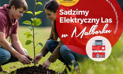 Sadzimy Elektryczny Las w Malborku
