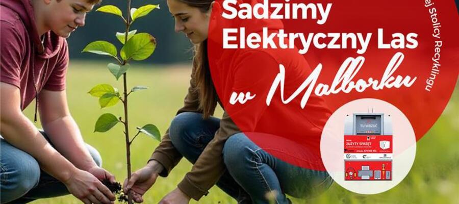 Sadzimy Elektryczny Las w Malborku