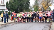 35. Bieg Niepodległości w Malborku za nami!