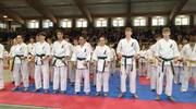 XV Otwarte Mistrzostwa Malborka Kyokushin Karate 