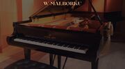Koncert Nadzwyczajny w Państwowej Szkole Muzycznej i prezentacja nowego fortepianu