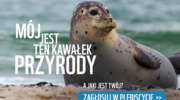 Malbork ponownie wspiera akcję: Godzina dla Ziemi 2026 
