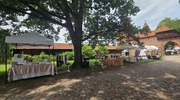 Malbork świętuje Noc Świętojańską!