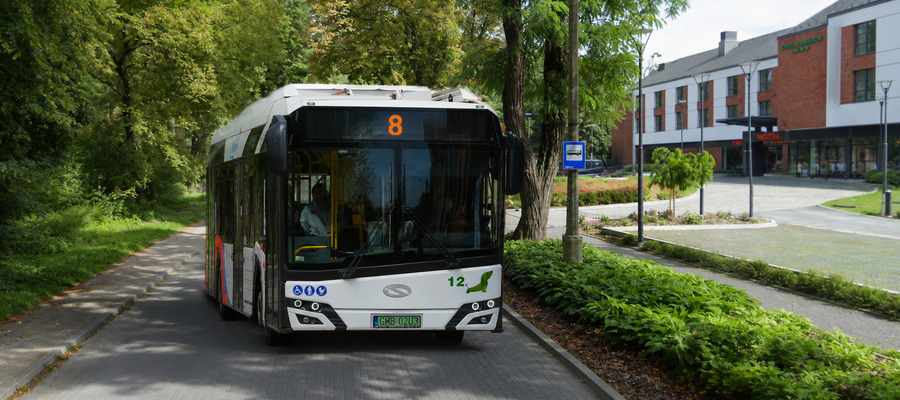 Sezonowa linia nr 8 wraca na ulice Malborka