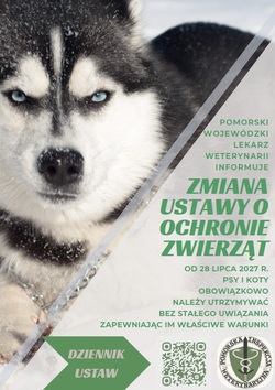plakat z informacjami i zdjęciem psa